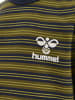 Hummel Hummel T-Shirt Hmlunited Jungen in BLACK IRIS