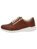Solidus Sneaker Low in braun