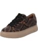 Paul Green Schnürschuhe in Sisal