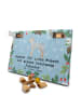 Mr. & Mrs. Panda Hunde Adventskalender Dobermann Pinscher Moment... in Eisblau