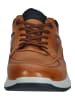 LLOYD Sneaker in Cognac