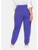 sheego Joggpants in violett