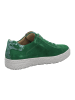 Hartjes Sneaker Low in grün