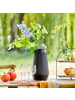 Butlers Butlers Vase FINJA in Schwarz