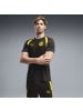 Puma BVB Borussia Dortmund Training Trikot der Saison 26-27 in Schwarz