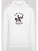 F4NT4STIC F4NT4STIC Crewneck-Sweater in white