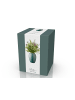Bitz Vase Gastro in Grün