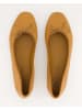 Zahira Ballerinas in Braun