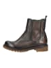 Felmini Stiefelette CASTER Cognac