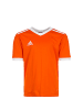 adidas Performance Fußballtrikot Tabela 18 in orange / weiß