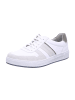 Pius Gabor Herren Schnürschuh in white/off-white/salv