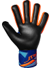 Reusch Torwarthandschuhe Attrakt Freegel Duo NC in 4127 sharp blu/shock orng/blck