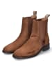 Gant Chelsea Boots FAYY in Braun