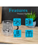 Intirilife Thermo Glas Doppelwandig Katze 200ml in 4x Schwarz