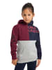 Carlo Colucci Hoodie Carelli in Navy