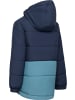 Trespass Kinder Softshelljacke "Olense Causal Jacket" in Blau