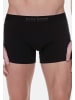 Bruno Banani Retro Short / Pant Energy in Schwarz