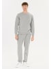 Endurance Sweatshirt Arlanc in 1005 Light Grey Melange