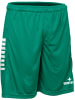 Derbystar Sporthose "Hose Kurz Primo V24" in Grün