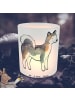 Mr. & Mrs. Panda Outdoor Windlicht Siberian Husky Moment ohne Sp... in Transparent