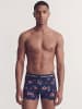 Jack & Jones 10er-pack Trunks in Sky Captain