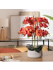 Atmosphera Créateur d'intérieur Künstliche Orchidee in mehrfarben