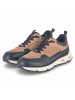 SALAMANDER Low Sneaker in braun