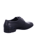 LLOYD Business Schnürschuh in schwarz