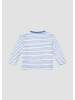 s.Oliver T-Shirt in 52A3_blassblau