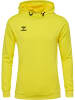 Hummel Hummel Hoodie Hmlauthentic Multisport Herren Atmungsaktiv Feuchtigkeitsabsorbierenden in BLAZING YELLOW