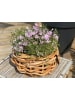 A2Living Rattan Korb Schale Rund 54x20 cm