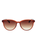 Ted Baker Frauen Sonnenbrille Rund Braun