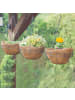 relaxdays 6tlg. Blumen-Set in Schwarz/ Braun