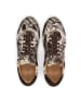 Kazar Sneaker Low in Dunkelbraun