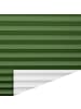 Lichtblick Plissee, Faltrollo in Grün