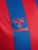 Hummel Hummel T-Shirt Hmlcore Multisport Herren Atmungsaktiv Schnelltrocknend in TRUE BLUE/TRUE RED
