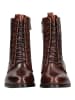 Everybody Stiefelette FELICITY Braun