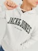 Jack & Jones Logo Print Hoodie Kapuzen  Pullover JJEJOSH in Hellgrau