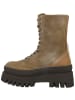 Steve Madden Boots Coast in beige