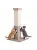Feandrea Kratzbaum Clawfy in Greige - (B)38 x (H)73 x (T)38 cm