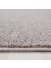 KADIMA DESIGN Teppich Kurzflor Waschbar Einfarbig MAIN Strapazierfähig OEKO-TEX in Beige