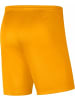 Nike Hose für Jungen in uni