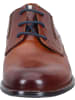 Bugatti City Schnürschuhe in cognac