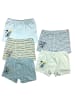 LOREZA 10er Set Boxershorts - Dino - Bunt