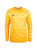 adidas Performance Torwarttrikot AdiPro 19 in gold