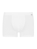 Hanro Panty Cotton Essentials in white