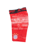adidas Shorts TF FC Bayern München Base Layer Tight in Rot