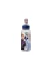 Disney Journey 3D Figurine Kunststoffflasche 560