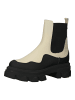 Steve Madden Stiefelette in Schwarz/Beige