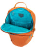 Pacsafe Rucksack ECO 25L in Canyon